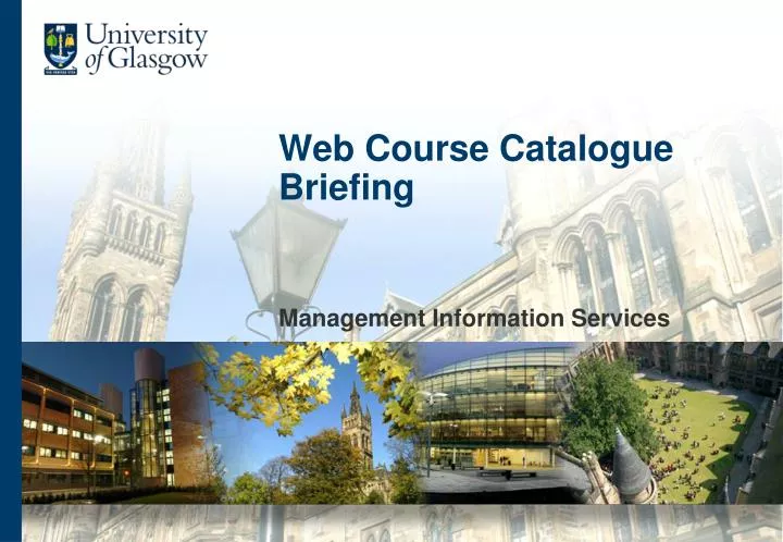 web course catalogue briefing