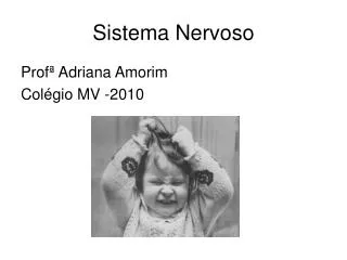 sistema nervoso