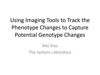 Using Imaging Tools to Track the Phenotype Changes to Capture Potential Genotype Changes
