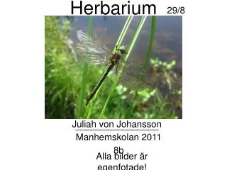 herbarium