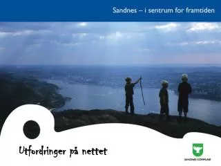 utfordringer p nettet