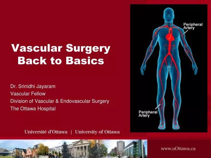 vascular surgery back to basics