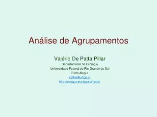 an lise de agrupamentos