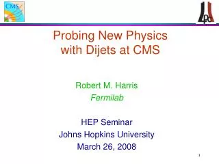 Probing New Physics with Dijets at CMS