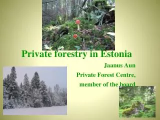 Private f orestry in Estonia Jaanus Aun Private Forest Centre , member of the board
