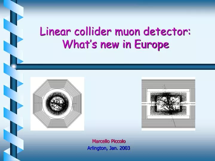 linear collider muon detector what s new in europe