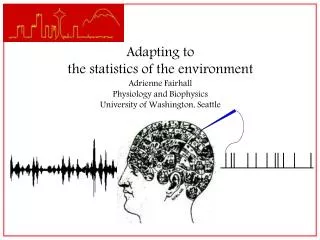 Adapting to the statistics of the environment Adrienne Fairhall Physiology and Biophysics