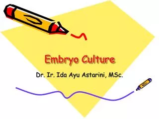 embryo culture