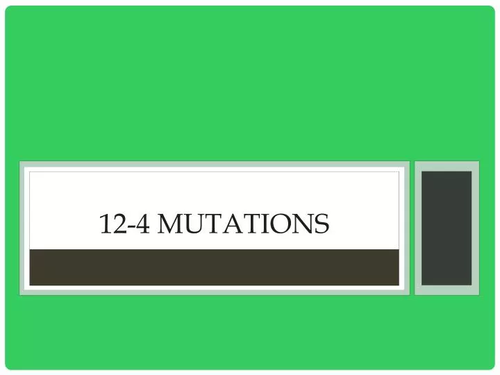12 4 mutations
