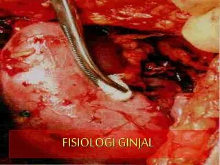 fisiologi ginjal
