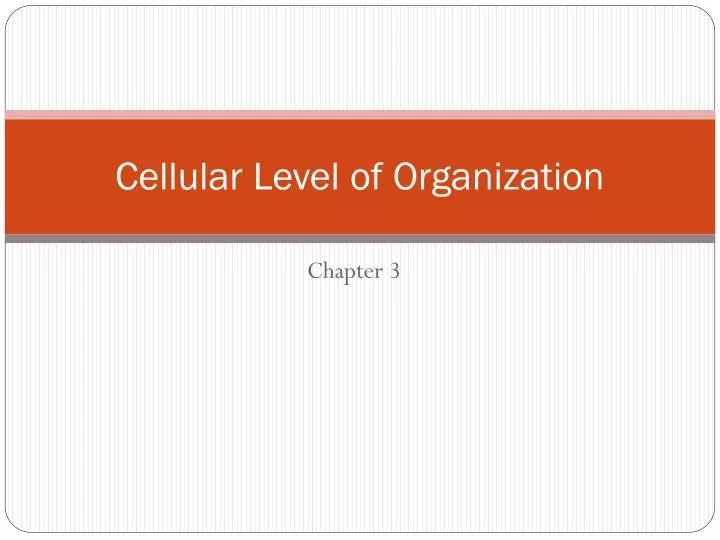 cellular level of organization