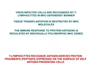 VIRUS-INFECTED CELLS ARE RECOGNIZED BY T-LYMPHOCYTES IN MHC-DEPENDENT MANNER