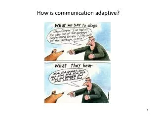 How is communication adaptive?