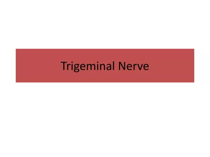 trigeminal nerve