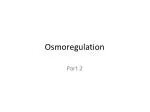 Adaptations in Osmoregulation: Water Balance in Arid, Wet, and Aquatic Environments - slide 1