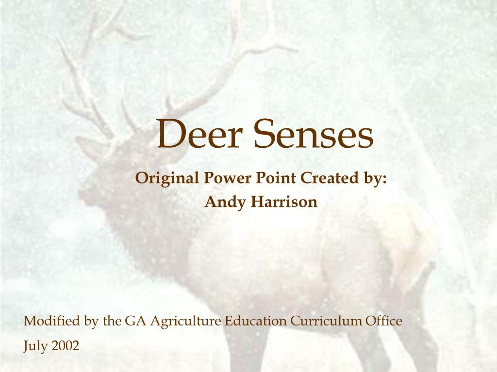 PPT - Deer Senses PowerPoint Presentation, free download - ID:6116447