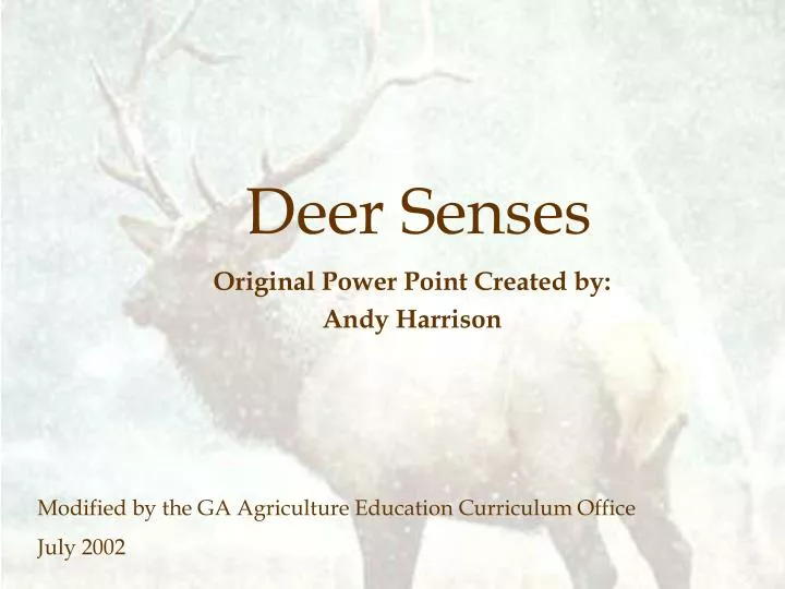 deer senses