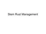 Comprehensive Strategies for Effective Stem Rust Management in Agriculture - slide 1