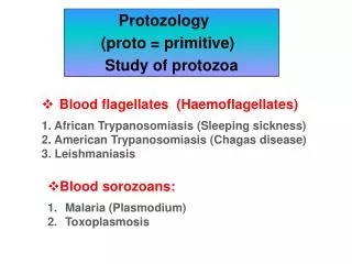 Protozology (proto = primitive)	 Study of protozoa