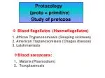 Protozology (proto = primitive)	 Study of protozoa - slide 1