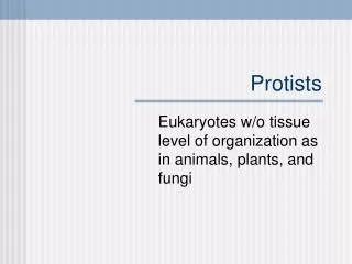 Protists