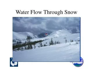 Water Flow Through Snow