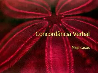 concord ncia verbal