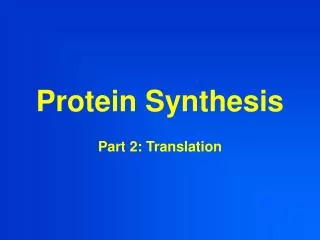 protein synthesis