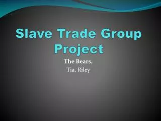 Slave Trade Group Project