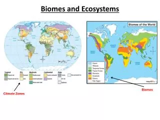 Biomes and Ecosystems