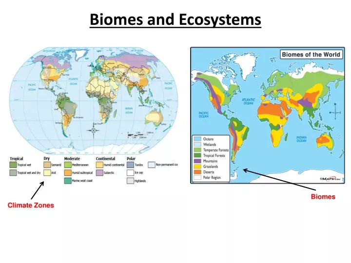 biomes and ecosystems