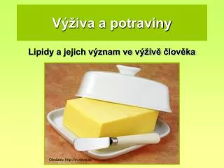 v iva a potraviny