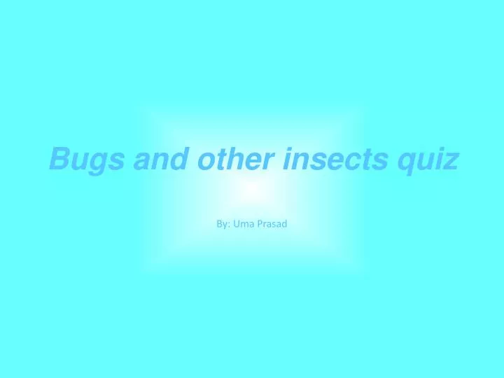 bugs and other insects quiz