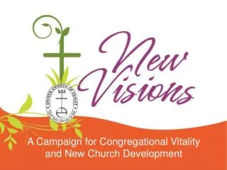 A Campaign for Congregational Vitality and New Church Development