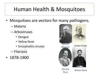 Human Health &amp; Mosquitoes