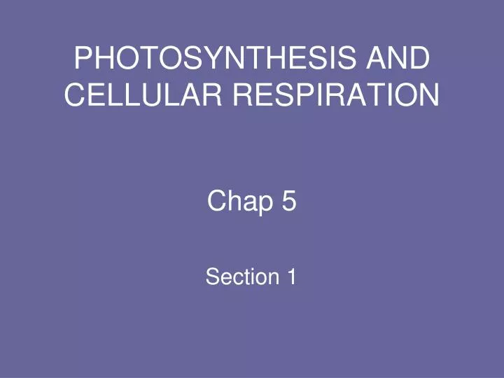 PPT - PHOTOSYNTHESIS AND CELLULAR RESPIRATION PowerPoint Presentation ...