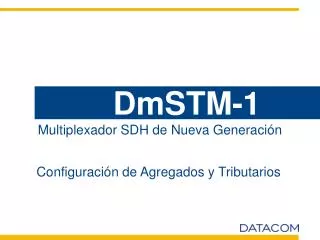 dmstm 1