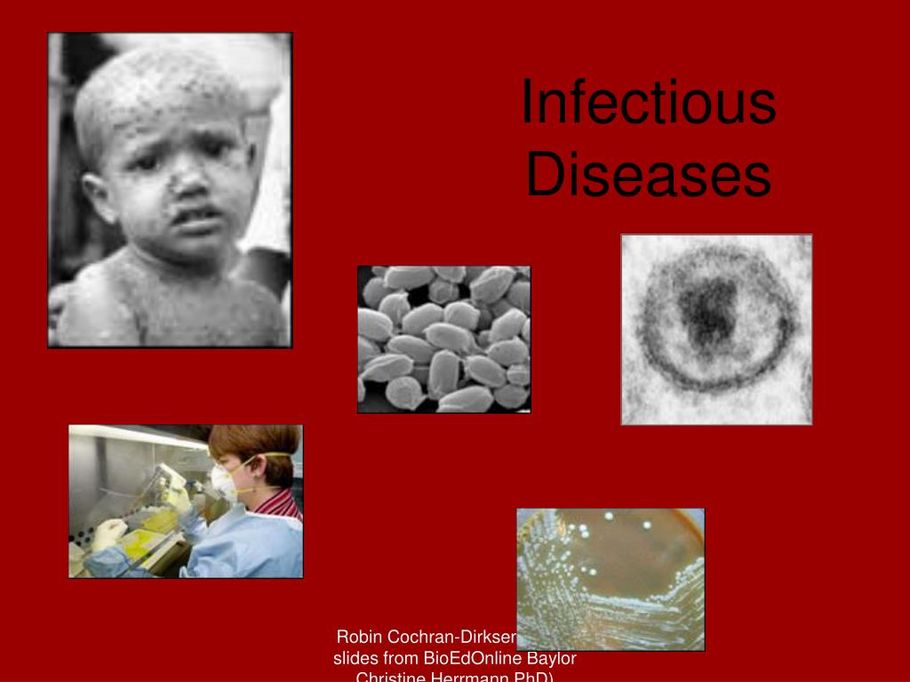 PPT - Infectious Diseases PowerPoint Presentation, free download - ID ...