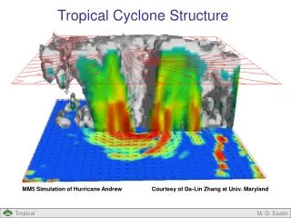 Tropical Cyclone Structure
