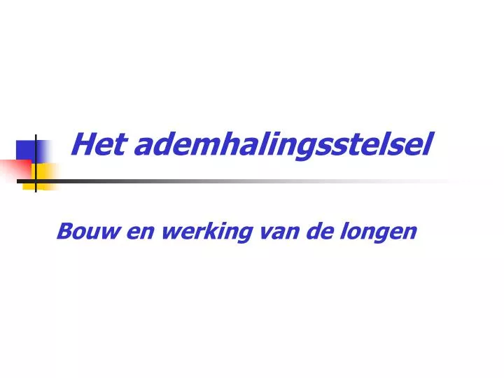 het ademhalingsstelsel