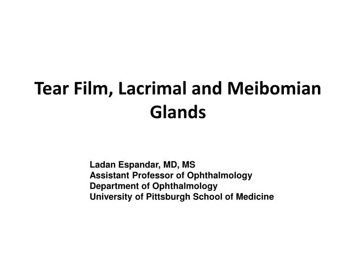 tear film lacrimal and meibomian glands
