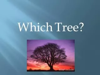 Which Tree?