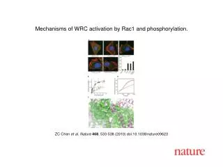 ZC Chen et al. Nature 468 , 533-538 (2010) doi:10.1038/nature09623