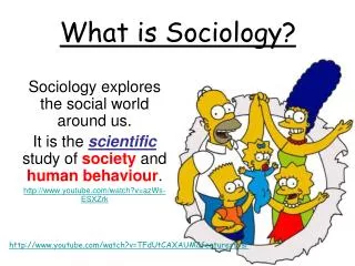 Sociology explores the social world around us.