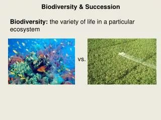 Biodiversity &amp; Succession Biodiversity: the variety of life in a particular ecosystem