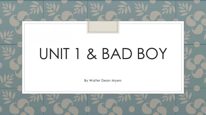 unit 1 bad boy