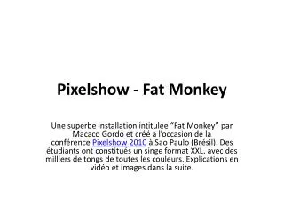 pixelshow fat monkey