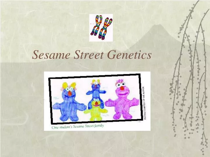 sesame street genetics