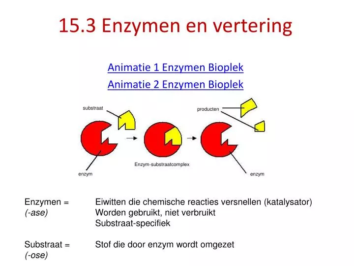15 3 enzymen en vertering
