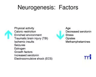 Neurogenesis: Factors